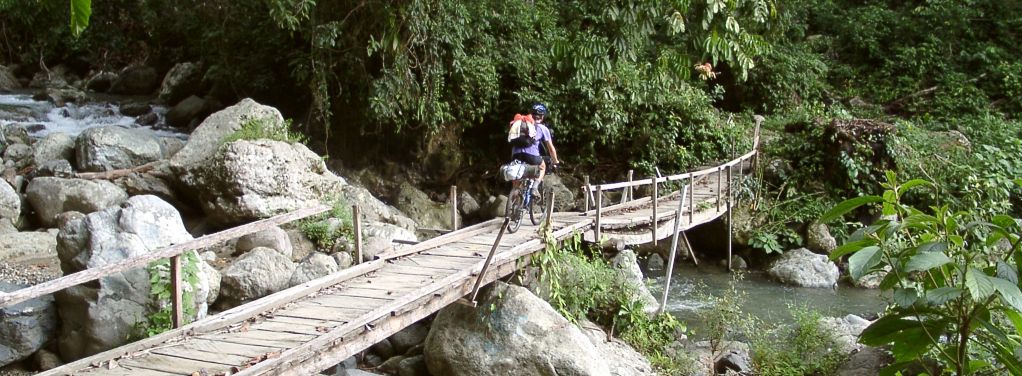 Bridge on the trail from Gimpu to Moa