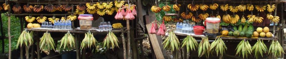 Warung food near Pasarwajo