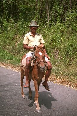 Horseman in Aceh, Indonesia