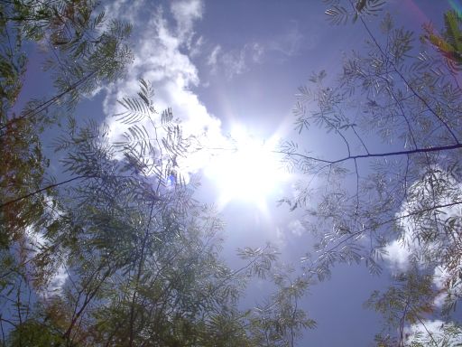 Auf der Insel liegend fotografiert
