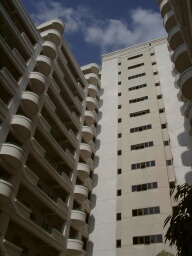 Palm Spring Condominium