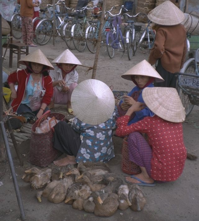 Ducks at the Nha Trang Market
